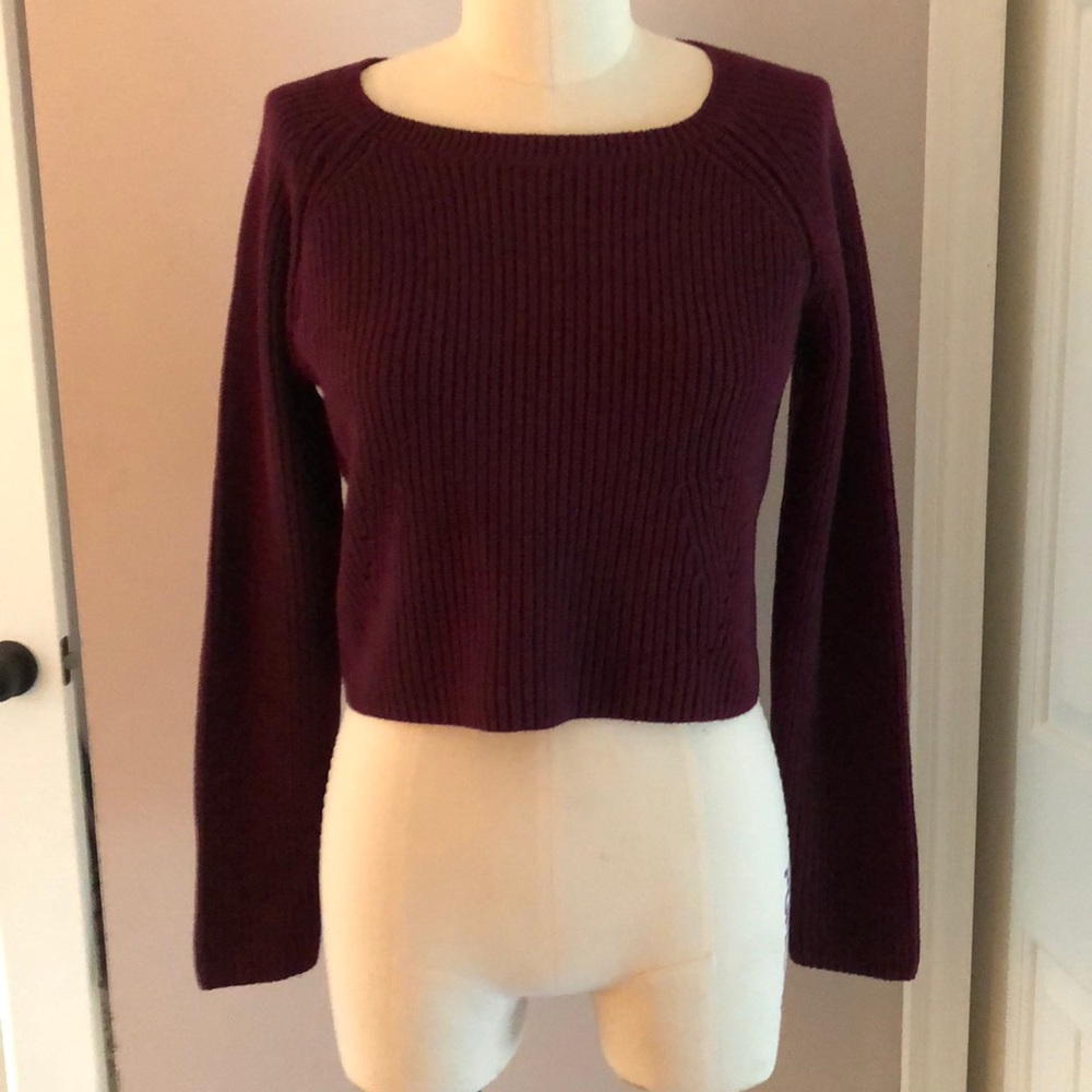 The Limited Women's Burgundy Cropped Crew Neck Sweater